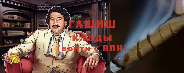 дживик Пересвет