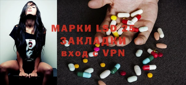 шишки Яблоновский