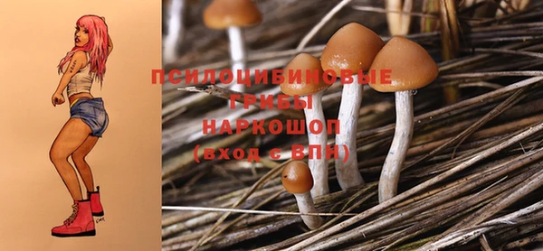 а пвп мука Покров