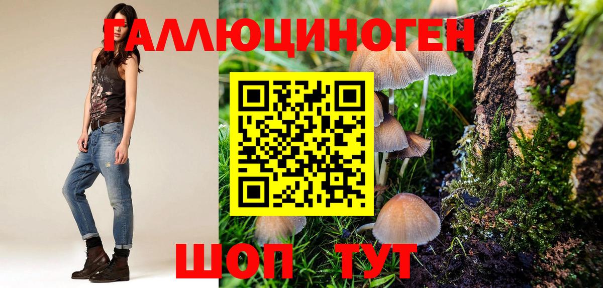 Алексин  купить  сайты  Вход с VPN  Псилоцибиновые грибы мицелий 