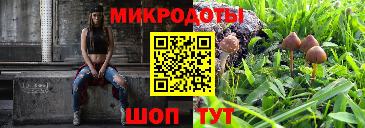 Псилоцибиновые грибы мухоморы Алексин